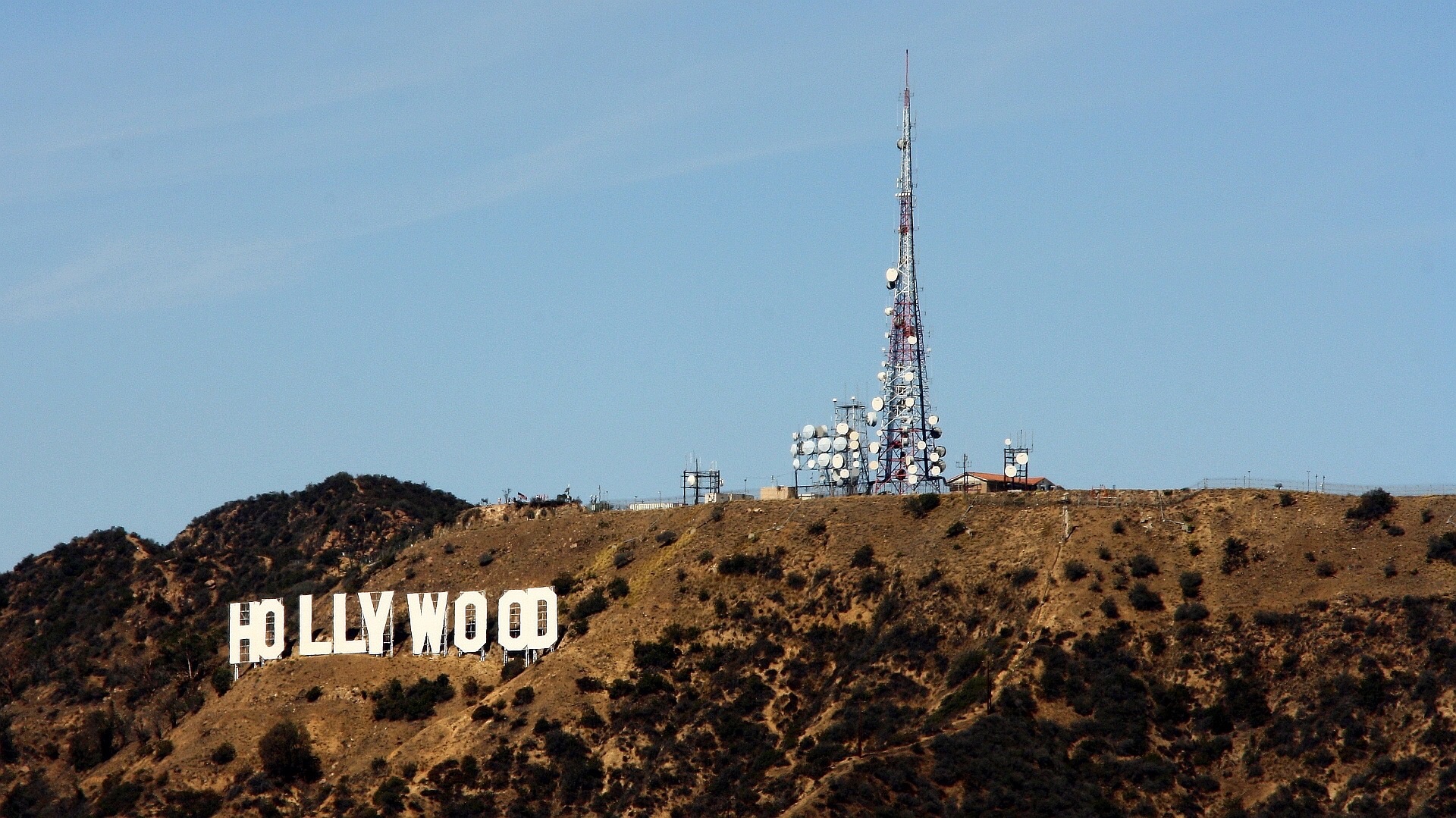 The United States of Tinseltown